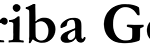 logoLetraWhite